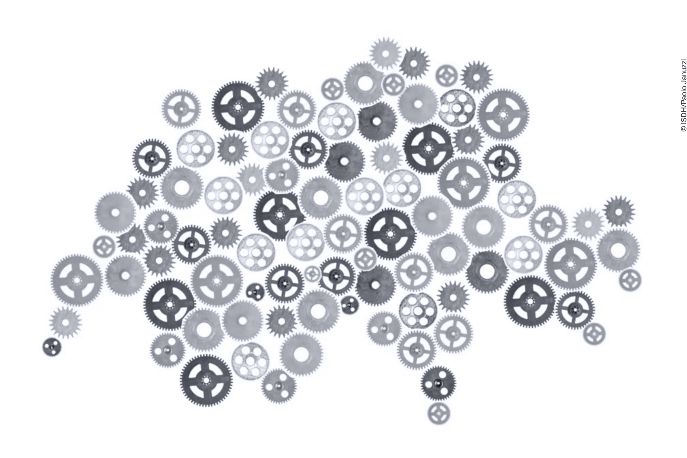 axes-prioritaires-landscape.png