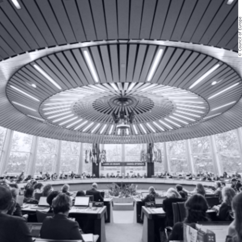 Photo taken from the back of the room of the Committee of Ministers, an organ of the Council of Europe, in Strasburg.