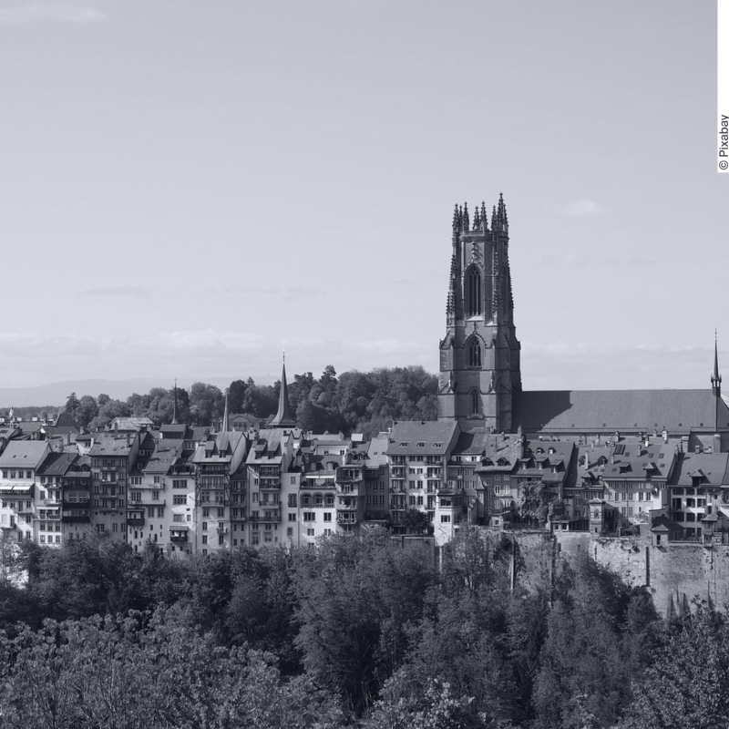 A lateral view of the old town of Friburg, Switzerland. A cathedral towers over old-fashioned houses with pointy roofs.
