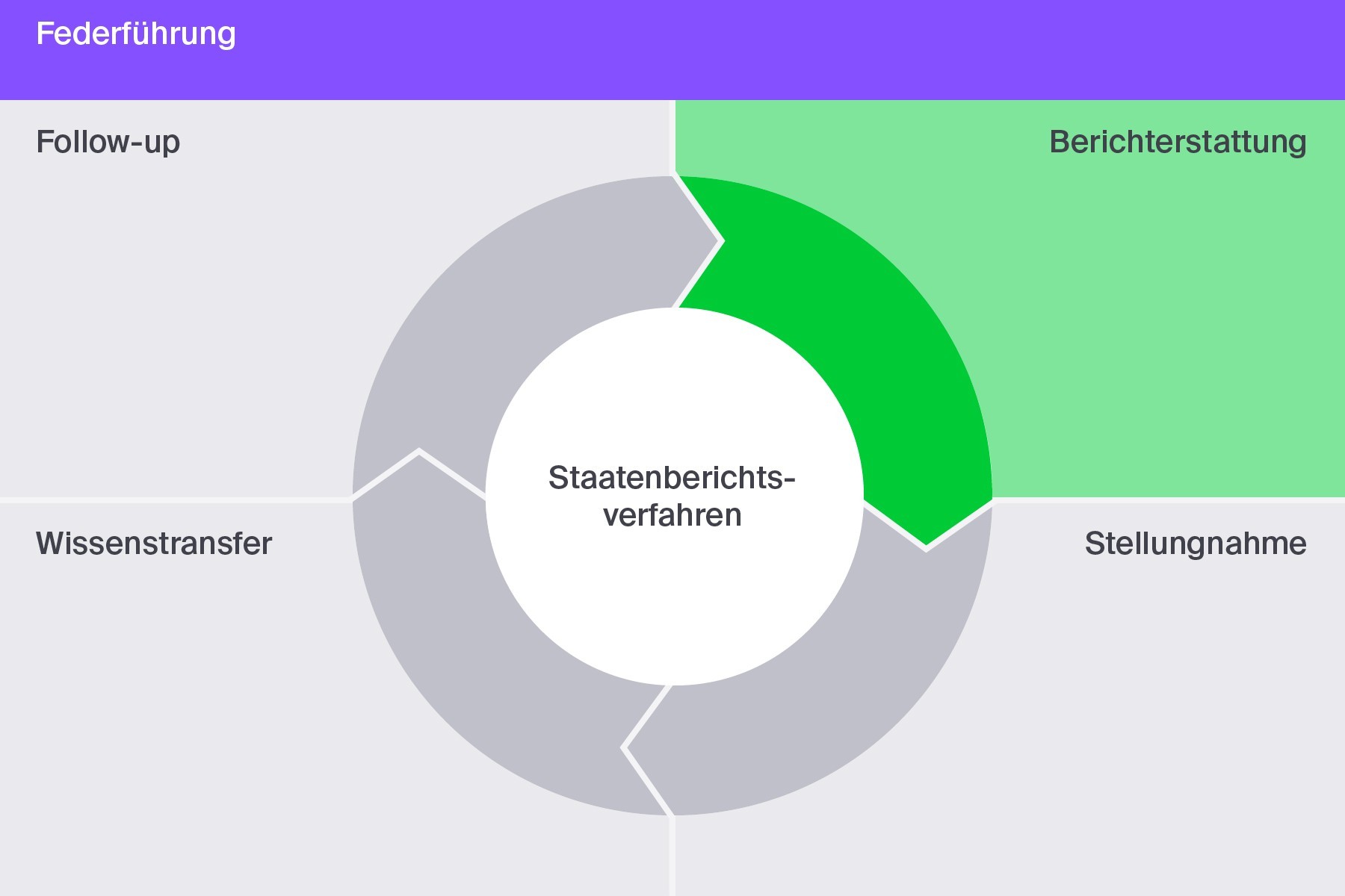 Berichterstattung: Die Berichterstattung beinhaltet die Erstellung des Staatenberichts sowie von Parallelberichten aus der Zivilgesellschaft.