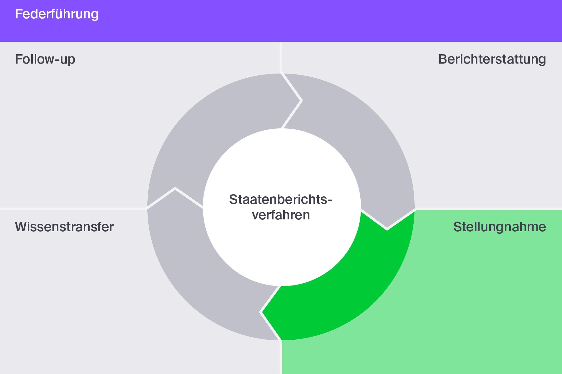 Stellungnahme: In vielen Fällen kann der Vertragsstaat zu den abschliessenden Bemerkungen des internationalen Gremiums Stellung beziehen.