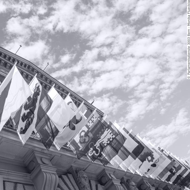 Flags of all the Swiss cantons hang in front of a building on a sunny day.